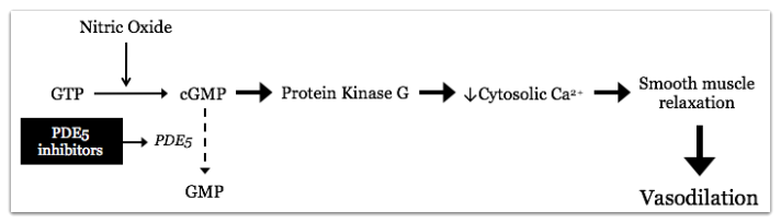 PDE5 Inhibitors