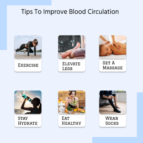 Blood Flow