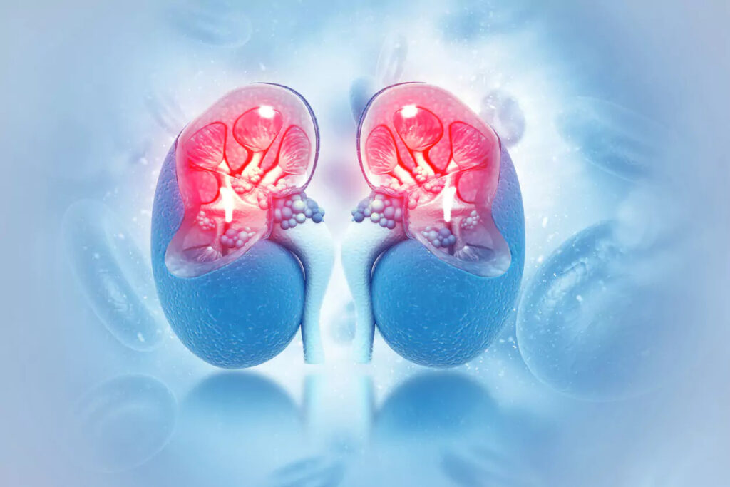 Kidney Disease