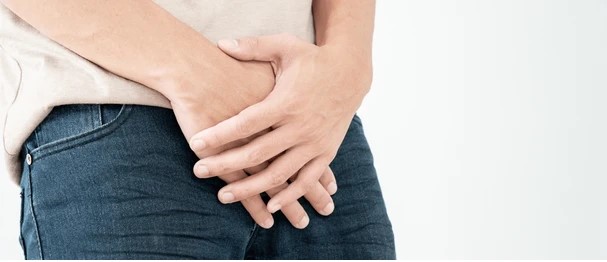 Understanding Erections